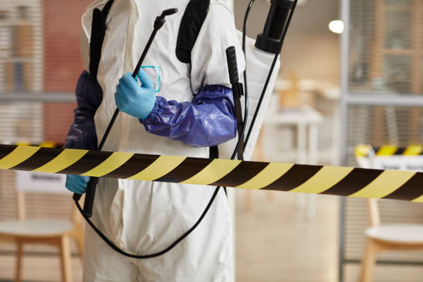 Professional Sewage Cleanup technician working in Perry Hall, MD
